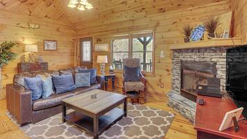 TV, fireplace, books