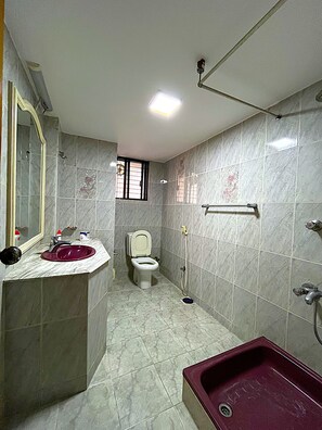 Bañera y ducha independientes, secador de pelo, zapatillas y toallas