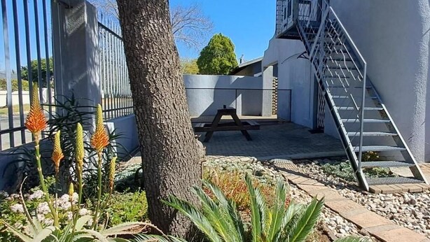 Une cour avec un arbre, un banc et un escalier menant à un bâtiment.