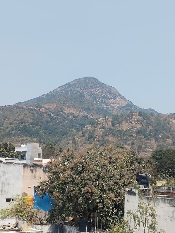 Imagen sin descripción, 1 de 14, botón