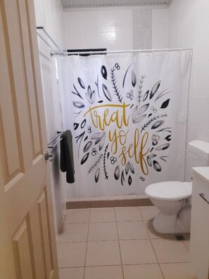 Shower, towels, soap, toilet paper