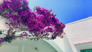 En bygning med hvide facader og grønne skodder, en balkon prydet med lilla buganvillea blomster, og en klar blå himmel.