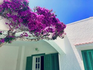 Exterior detail - Charming, light-filled Mediterranean Villa – sleeps 2-6, only 250 m from the Sea (Villanova)