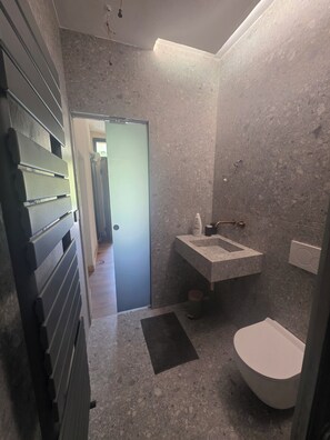 Hair dryer, towels, soap, toilet paper