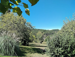 Property grounds - House in a rural setting 5 minutes from the town center (Le Bugue)