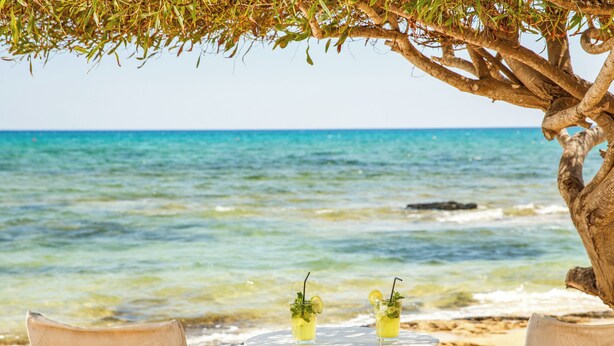 A beachside table with two chairs under a tree, overlooking the ocean. - Sanders Soul - Great 1 Bdr Apt with balcony (Lemesos)