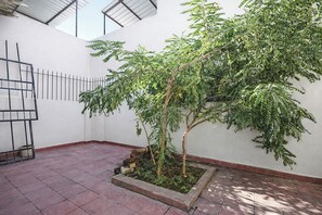 A courtyard with a small tree, a metal fence, and a tiled floor. - Fabhotel Le Regent (Gurugram)