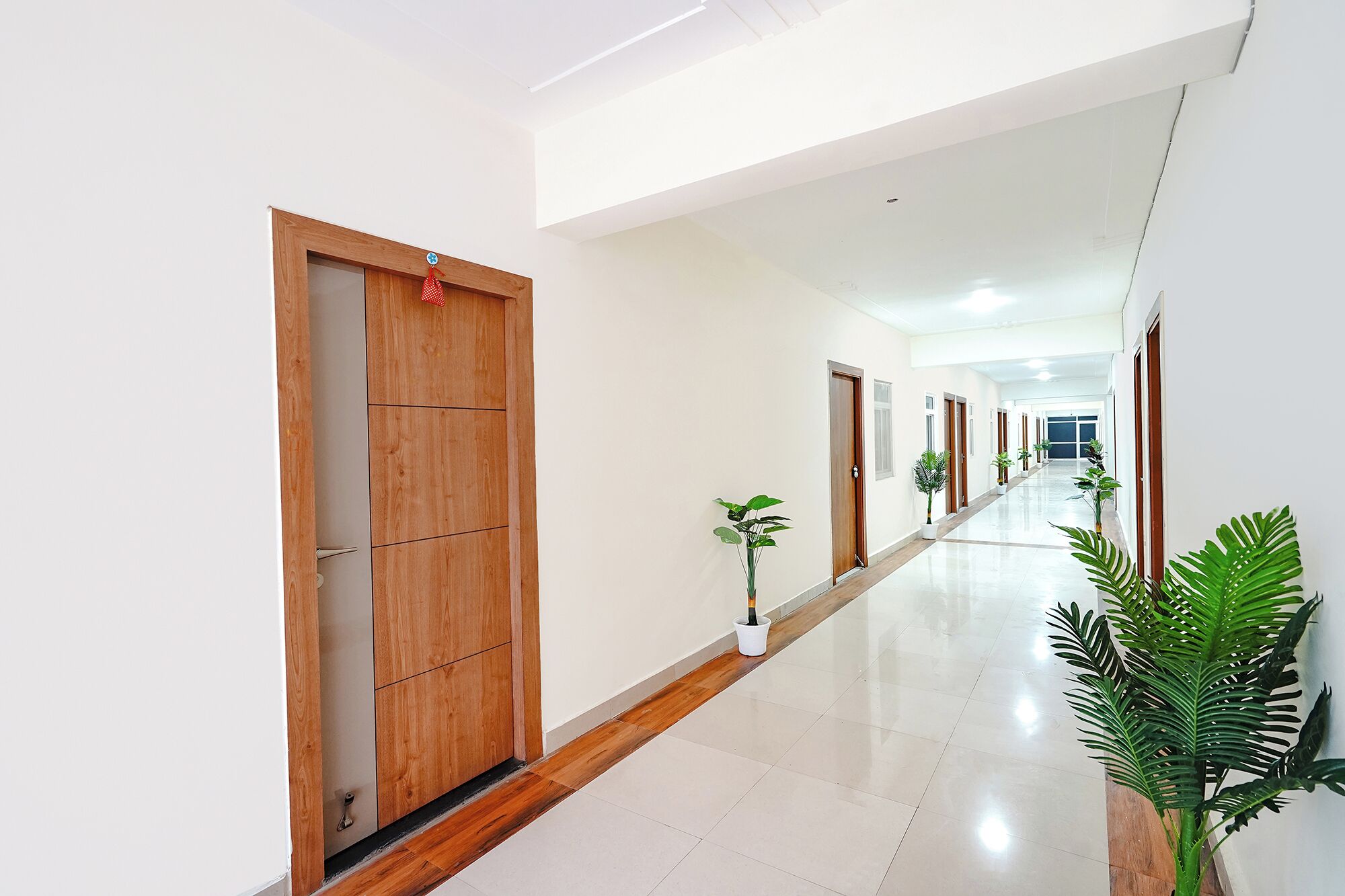Un largo pasillo bien iluminado, con puertas de madera y plantas en macetas.