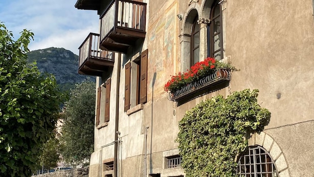 未分類的圖片,第 1 張,共 20 張,按鈕
