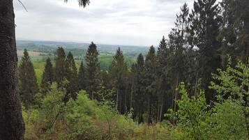 A forested area with a view of distant fields and a clear sky.