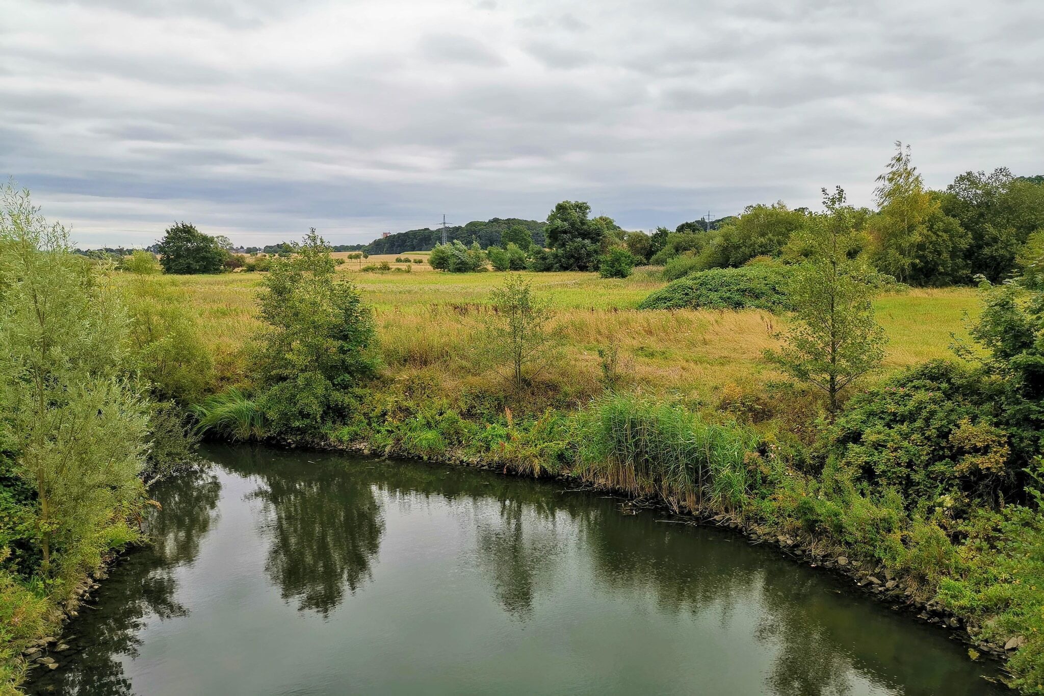 A river with surrounding greenery and trees.