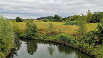 A river with surrounding greenery and trees.