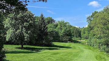Un campo de golf con un césped cuidado, árboles y cielo despejado.