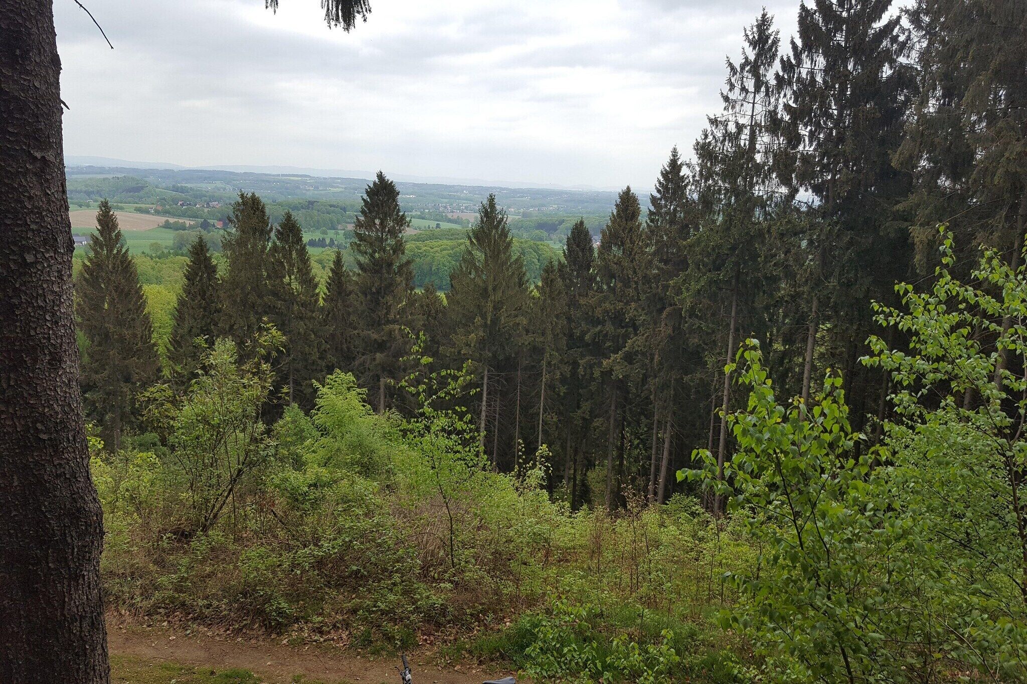 Waldlandschaft mit Blick auf weit entfernte Felder und einem klaren Himmel.
