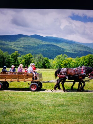 Unclassified image, 3 of 15, button