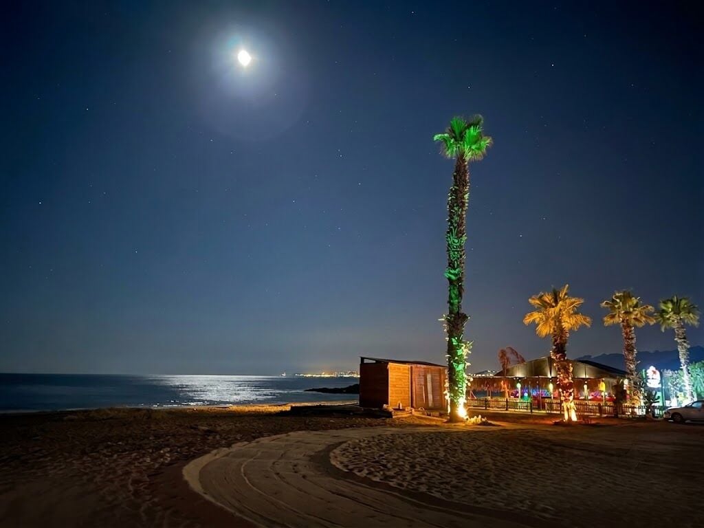 Une scène de plage avec un palmier, un bâtiment et l’océan, le tout sous un ciel nocturne où l’on aperçoit la lune.