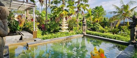 Alberca al aire libre