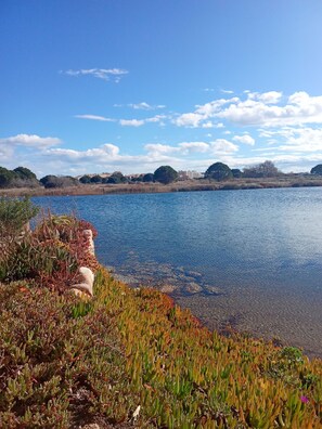 Photo non classée, 2 sur 17, bouton