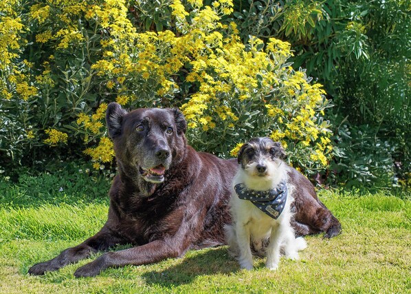 Unclassified image, 1 of 24, button