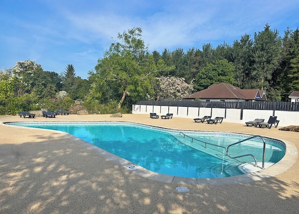 A swimming pool with lounge chairs, surrounded by trees and a fence.