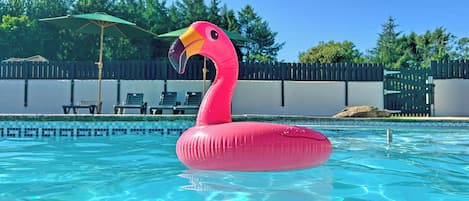 A swimming pool with a pink flamingo float.