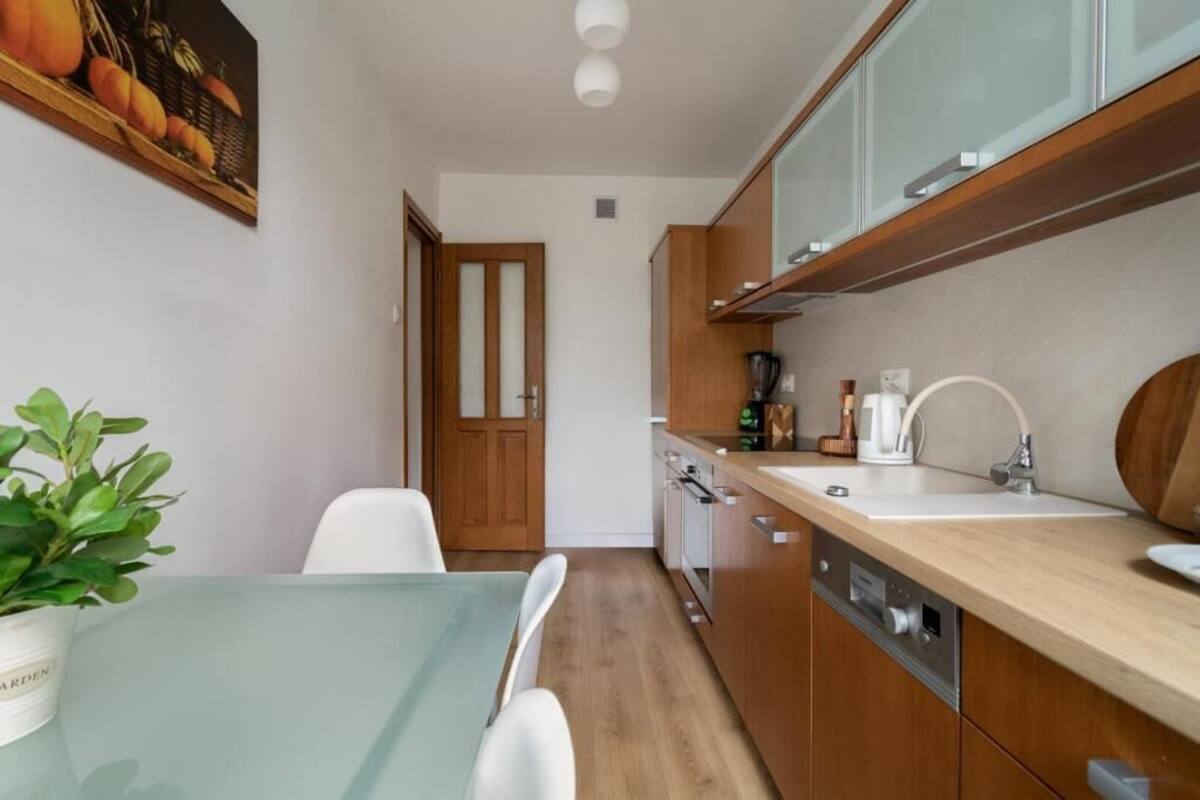 Classic Apartment, Balcony | Private kitchen