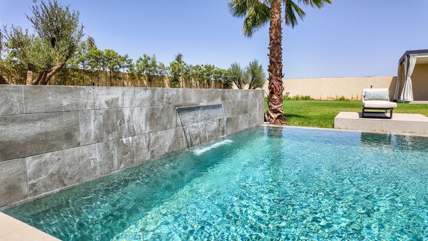 Ein Swimmingpool mit klarem, blauem Wasser, einer Steinmauer und einer Palme.