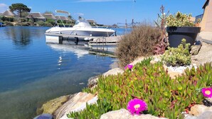 Un puerto deportivo con barcos amarrados, agua cristalina y una costa rocosa con suculentas y una flor.