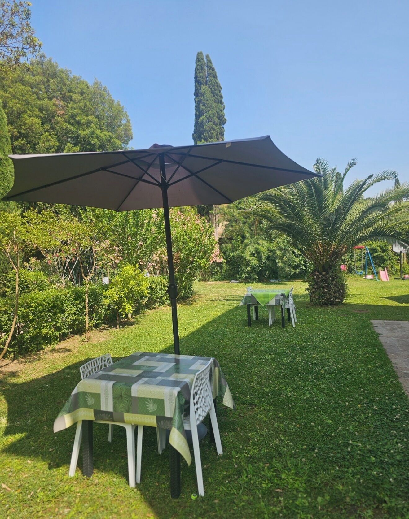 Ein Sitzbereich im Freien mit Tisch und Stühlen unter einem großen Sonnenschirm, umgeben von üppigem Grün und einem hohen Baum.