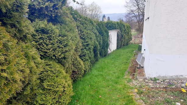 A narrow pathway flanked by dense evergreen hedges and a white building with a sloped roof. - Cozy garden apartment near Herrsching (Herrsching am Ammersee)