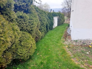 Un sendero estrecho bordeado por setos de hoja perenne y un edificio blanco con techo inclinado.