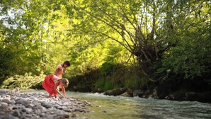 A riverbank with rocks and greenery. - Relax in the Premium Room of Leutasch Retreat: extra space, bath and shower, ideal for active summers and winters in Tyrol. (Leutasch)