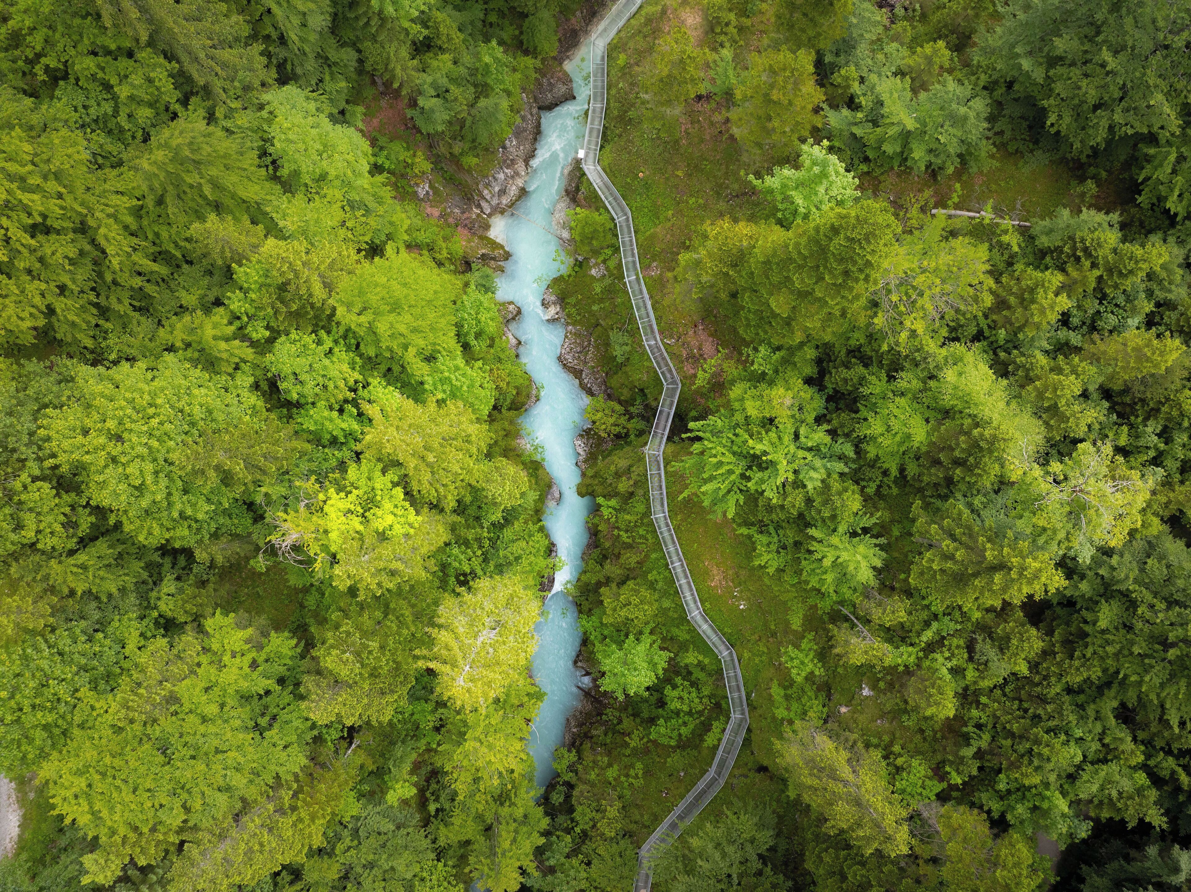 Luchtbeeld van een slingerende rivier door een dicht bos.