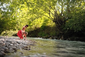 A riverbank with rocks and greenery. - The Leutasch Retreat Comfort room offers peace, style, and comfort after hiking, cycling, or winter sports in the Alps around Seefeld. (Leutasch)