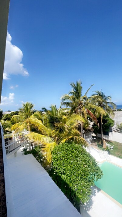 Cocoon Signature Palm Tree Garden 