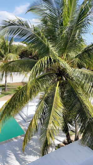 Immagine non classificata, 2 di 7, pulsante