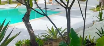 Cocoon Signature Palm Tree Garden 