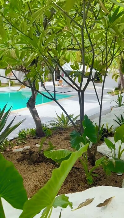 Cocoon Signature Palm Tree Garden 