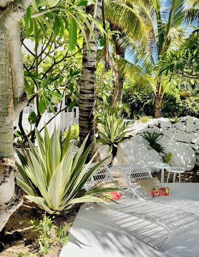 Cocoon Signature Palm Tree Garden 