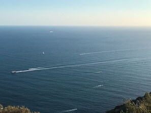 A coastal view with a clear sky, calm sea, and a distant boat. - Pine House (Campania)