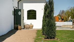 A white building with a door, a window, and a small tree in the foreground.