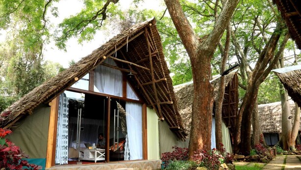 A thatched-roof bungalow with a glass door, surrounded by trees and a stone pathway. - The Giraffe Cottages Restaurant and Bar (Nairobi)