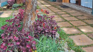 A pathway leading to traditional thatched-roof huts with a garden area featuring purple-leafed plants and a tree. - The Giraffe Cottages Restaurant and Bar (Nairobi)