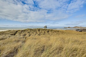 Un paisaje costero con una roca destacada, dunas cubiertas de hierba y un cielo despejado.