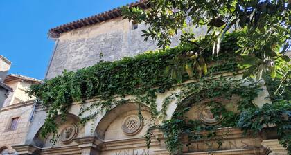 Palais de Luppé - Guest house