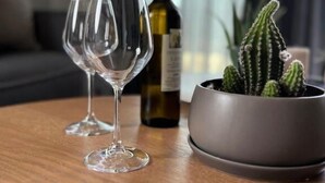 A table with two wine glasses, a bottle of wine, and a potted cactus. - Green Residence (Hersonissos)