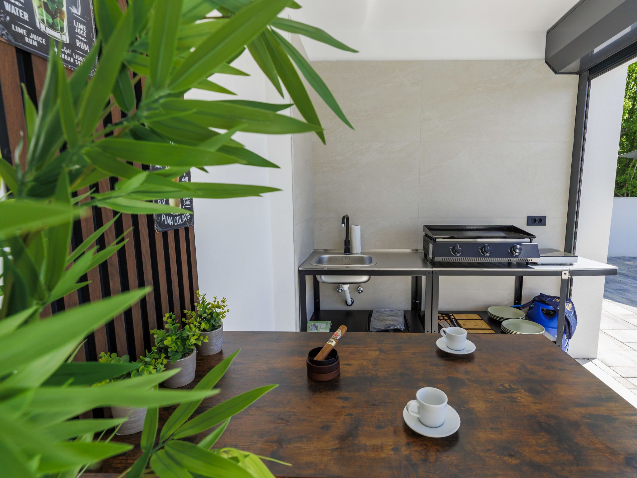 Een keuken met een gasfornuis, een spoelbak en potplanten.