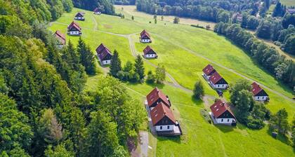 Green Valley Park Stárkov 21 by Interhome