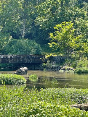 Unclassified image, 5 of 21, button