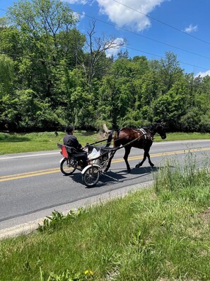 Unclassified image, 4 of 21, button